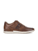 Pius Gabor Sneaker low in braun