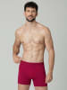 Muchachomalo 7er-Set: Boxershort in Mehrfarbig - für Herren