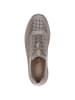 Caprice Sneaker in TAUPE COMB