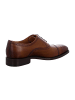 Berwick 1707 Elegante Schnürschuhe in Braun