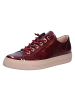 Paul Green Sneaker in rot