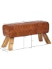 FineBuy Sitzbänk in Braun / Leder / 89x35x46
