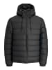JACK & JONES PLUS Steppjacke in Black