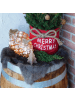 NatureNest Weihnachtsbaum in Xmas Bag rot 