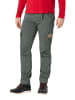 Timezone Cargo REGULAR ROGERTZ regular/straight in Grau