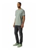 salzhaut Shirt DIEK Seagrass