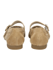 Paul Green Ballerinas in Beige