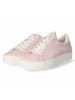 Paul Green Low Sneaker in rosa