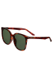 Bertha Polarisierte Sonnenbrille "Avery" in Tortoise/Waldgrün