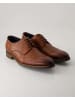Daniel Kenneth Anzug- & Businessschuhe in Braun