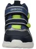 Geox Sneaker in Navy/Lime