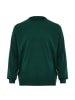 boline Herren Pullover in Grün