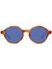Ted Baker Braun Herren Sonnenbrille
