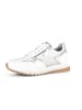 Gabor Sneaker low in multicolour