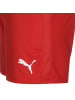 Puma Trainingsshorts TeamGoal 23 Knit in rot