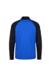 Puma Trainingsjacke TeamLIGA in blau / schwarz