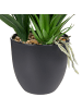 Beliani Kunstpflanze GUZMANIA ATILLA in Grün/Rot - (W) 56 x (H) 50 x (L) 56 cm