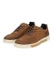 Bullboxer Sneaker in Cognac