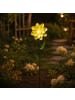 MARELIDA LED Solar Gartenstecker Blume Garten Blumenstecker H: 49,5cm in gelb