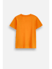 Coccodrillo Baumwoll-T-Shirt mit kurzen Ärmeln in orange