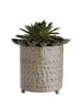 Butlers Blumentopf ETHNO 2er-Set in Braun