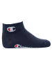 Champion Socken 3er Pack in Blau/Weiß/Grau