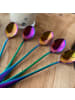 Intirilife 6er Set Dessert Löffel in Rainbow