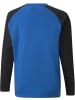 Puma Pullover "TeamLIGA Training Sweat Jr" in Blau