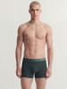 Jack & Jones 3er-Pack Trunks in Pine Grove