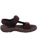 Clarks Herrensandalette Trecking  in  Braun