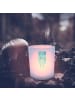 Mr. & Mrs. Panda Outdoor Windlicht Beste Freunde Salz mit Spruch in Transparent
