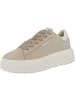 Tamaris Sneaker low 1-23812-41 in beige