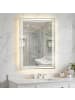 COSTWAY 70 x 50 cm Badspiegel mit Beleuchtung in Silber