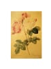 WALLART Leinwandbild Gold - Pierre Joseph Redouté - Damaszener-Rose in Rosa