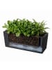 relaxdays Balkonkasten "Rattan" in Schwarz - (B)50 x (H)19 x (T)19 cm
