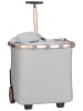 Reisenthel Einkaufstasche Carrycruiser in Frame Twist Sky Rose