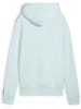 Puma Hoodie "Handball Hoodie Women" in Blau