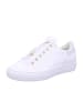 Paul Green Schnürschuh in BEIGE