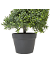 Beliani Kunstpflanze BUXUS SPIRAL TREE in Grün/Schwarz - (W) 30 x (H) 158 x (L) 30 cm