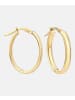 Vanlere Creolen aus 375 Gelbgold