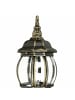 Licht-Erlebnisse Außen Wandlampe (B)15.5 x (H)54 cm in Gold Antik