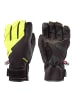 Zanier Handschuhe Sölden ZX Unisex Skihandschuhe in gelb