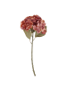 Butlers Kunstblume FLORISTA Hortensie in Rot