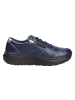 Joya Schnürschuh VENICE ZIP DARK BLUE in blau