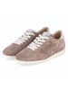 Kaerlek Schnürhalbschuh in taupe