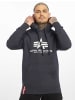 Alpha Industries Alpha Industries Kapuzenpullover in navy