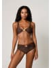 Moda Minx Bikinioberteil Nautilius Shell Knot Bikini Top in brown