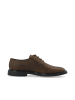 Bianco Derby-Schuhe aus Leder in DarkBrown