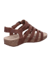 Josef Seibel Riemchen Sandalen für Damen in mittel-braun