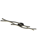Globo lighting Deckenleuchte "GERONIMO" in black